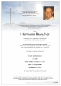 Hermann Brandner